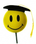 Antenna Topper
