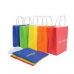Custom Paper Bag