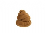 Dog poop chew toy